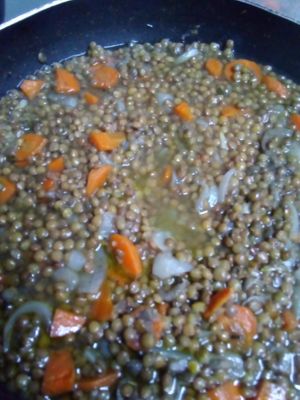 Lentils with onions and carrots  at Casa Veggy in Nerja