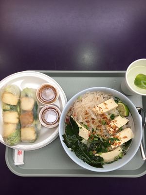 Vegan pho and tofu spring rolls at Vietnam Cafe in Des Moines