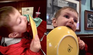 Description at Cascadia Grill in Olympia