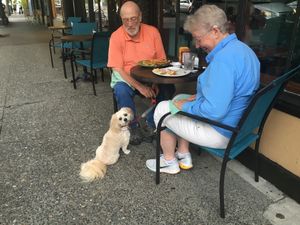 Description at Cascadia Grill in Olympia