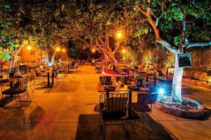 Dionysus Mansion Garden  at Dionysus Mansion in Limassol