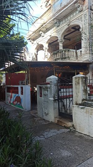  at California Cafe  in Havana