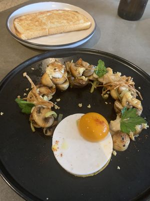 Mushroom melody 10/10 👌🏽 at Sycamore Meadows in Reservoir