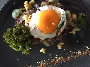 Mushroom melody at Sycamore Meadows in Reservoir