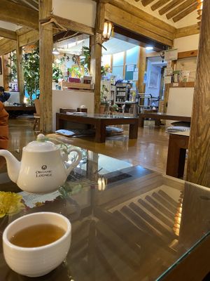 Cozy    at Oh Se Gae Hyang - 오세계향 in Seoul