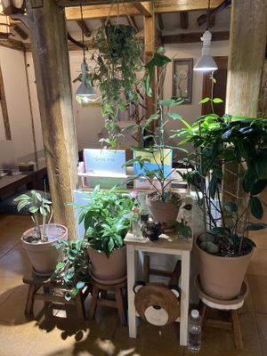 Inside of restaurant   at Oh Se Gae Hyang - 오세계향 in Seoul