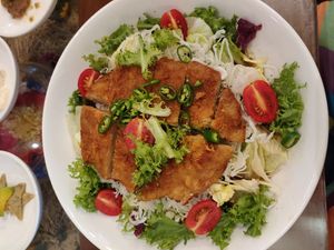 Vegan fried chicken cutlet LARGE at Oh Se Gae Hyang - 오세계향 in Seoul