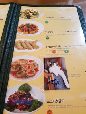 Menu and vegan cats at Oh Se Gae Hyang - 오세계향 in Seoul