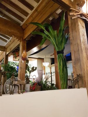 Nice environment  at Oh Se Gae Hyang - 오세계향 in Seoul