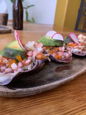 mushroom ceviche   at Hierba Dulce in Oaxaca