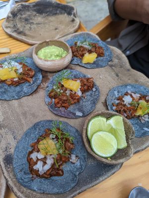 Mushroom tacos at Hierba Dulce in Oaxaca