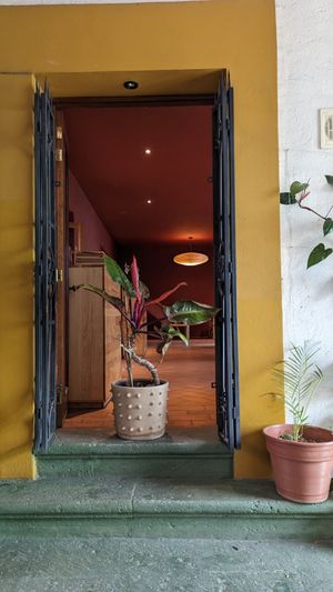  at Hierba Dulce in Oaxaca