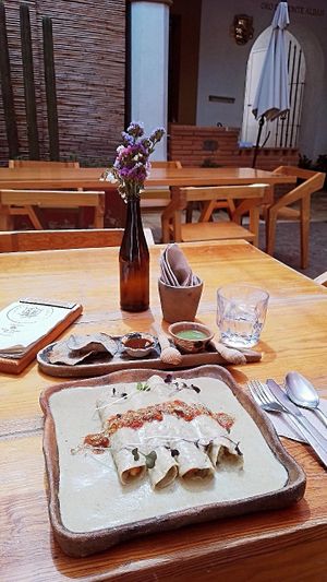 Falso papadzul at Hierba Dulce in Oaxaca