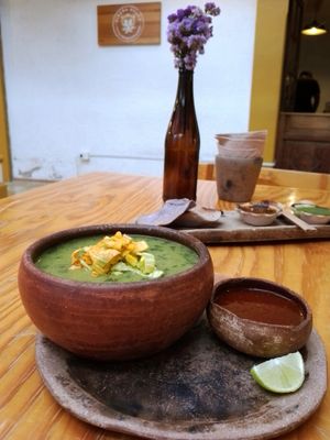 Sopa de guías at Hierba Dulce in Oaxaca