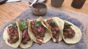 Mushroom pibil tacos  at Hierba Dulce in Oaxaca