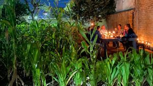 Share this journey through the history of food in Mesoamerica surrounded by the native corn we grow. Share an 8-course menu paired with a tasting of artisanal mezcals. at Hierba Dulce in Oaxaca