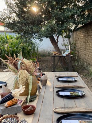 We focus on education, research and experimental cuisine. We moved to our urban garden where we grow native corn to promote agroecological agriculture.  at Hierba Dulce in Oaxaca