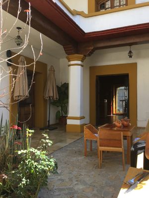 Hierba dulces at Hierba Dulce in Oaxaca