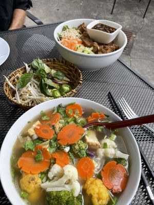 Two vegan options - large portions   at Peak of Asia in Breckenridge