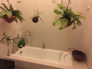 Their nice bathroom at Las Vecinas in Lima