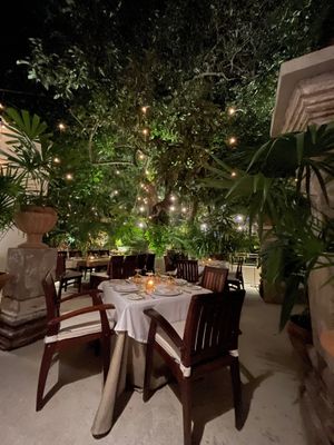 Our table in the outdoor garden at Cafe Des Artistes in Puerto Vallarta