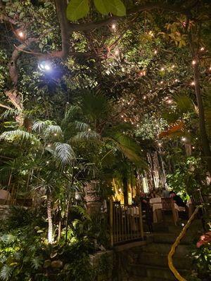  at Cafe Des Artistes in Puerto Vallarta