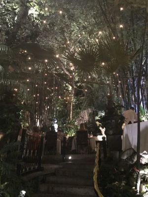 Outdoor seating is an experience! at Cafe Des Artistes in Puerto Vallarta