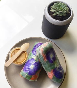 Locally made organic summer rolls at Trilogy Coffee in Kilauea