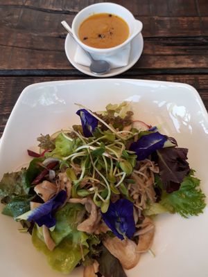 Yam mushroom starter at Seed to Feed in Koh Phangan