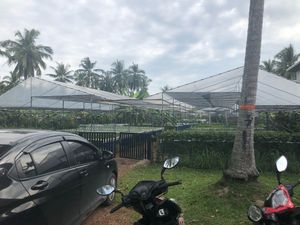 Their farm!  at Seed to Feed in Koh Phangan