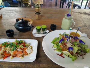 salad, veggies, tea, wheat grass shot, green smoothie at Seed to Feed in Koh Phangan