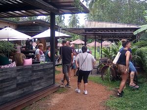 Seed to Feed
 at Seed to Feed in Koh Phangan