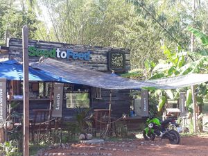 Outside at Seed to Feed in Koh Phangan
