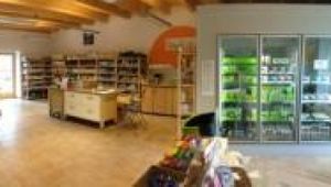 2000 products on 200m2, parking, bus Nr19 (end station) at Ziva Center in Ljubljana