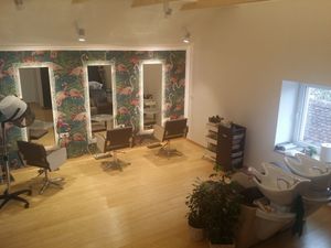 First organic hair studio in Slovenia. Using only organic plant hair dies, shampoos, conditioners ...  and Ayurvedic care & regenerative products. Reservations (call or text): +386 41 404 773 at Ziva Center in Ljubljana