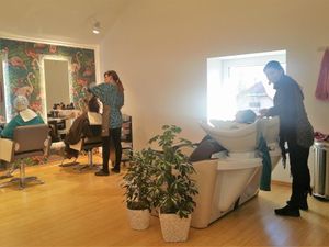 First organic hair studio in Slovenia. Using only organic plant hair dies, shampoos, conditioners ...  and Ayurvedic care & regenerative products. Reservations (call or text): +386 41 404 773 at Ziva Center in Ljubljana