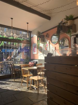 Cozy   at Seeds for the Soul in Edinburgh