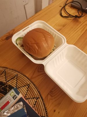 Veganuary menu satay burger at Seeds for the Soul in Edinburgh