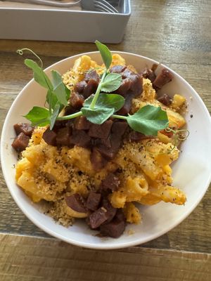   at Seeds for the Soul in Edinburgh