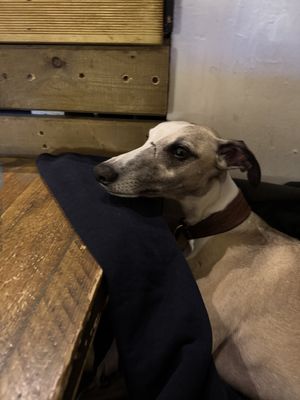  #Veganuary at Seeds for the Soul in Edinburgh