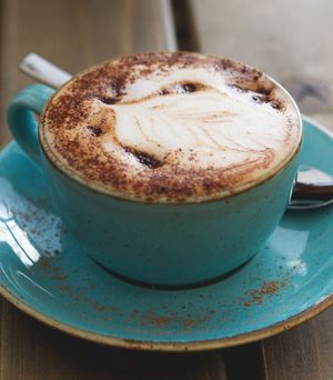 Mocha at Seeds for the Soul in Edinburgh