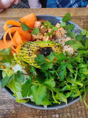 Asian salad at Seeds for the Soul in Edinburgh