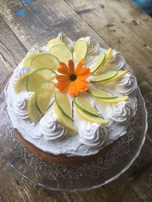 Lemon Sponge  at Seeds for the Soul in Edinburgh