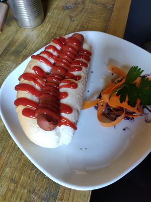 Dog at Seeds for the Soul in Edinburgh