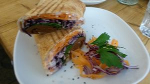 Rainbow seitan wrap at Seeds for the Soul in Edinburgh