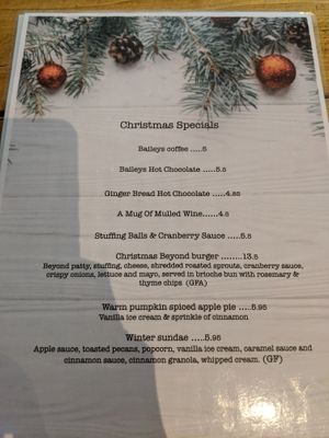 Menu - Xmas specials at Seeds for the Soul in Edinburgh