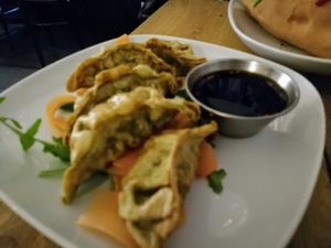 Veg gyozas at Seeds for the Soul in Edinburgh