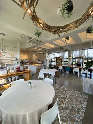 So pretty 🥺 at Plante in Jeju