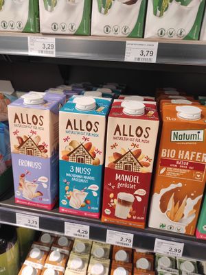  at Reformstark Martin in Innsbruck