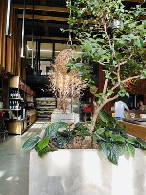 Inside   at Justo Restaurant in Medellin